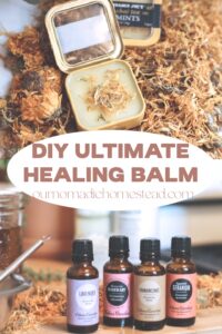 DIY Ultimate Healing Balm - Our Nomadic Homestead
