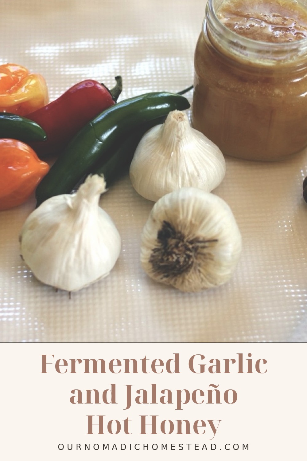 Fermented Garlic and Jalapeño Hot Honey